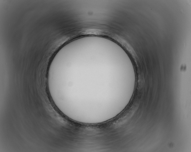 X0000101690529200807241411