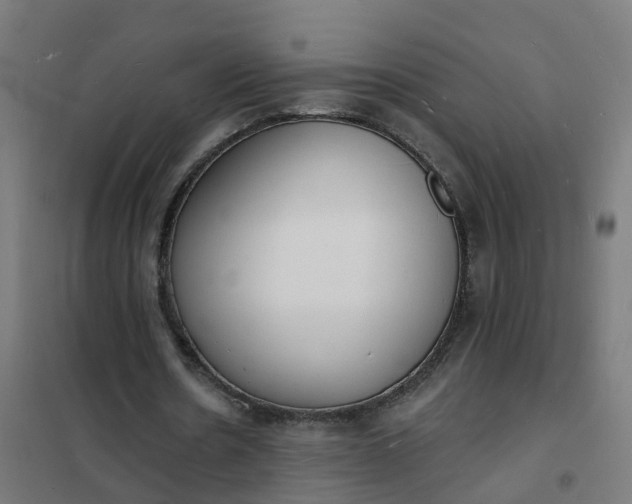 X0000101690530200807241411