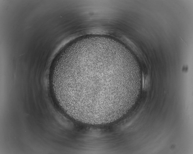 X0000101690531200807241411