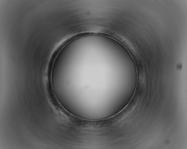 X0000101690532200807241411