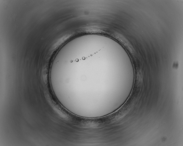 X0000101690533200807241411