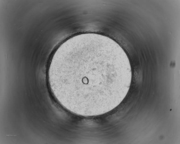 X0000101690534200807241411