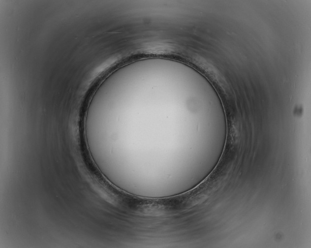 X0000101690535200807241411