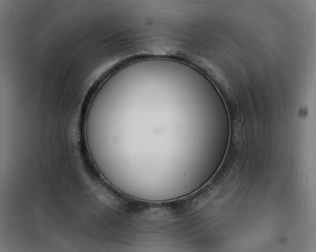 X0000101690536200807241411