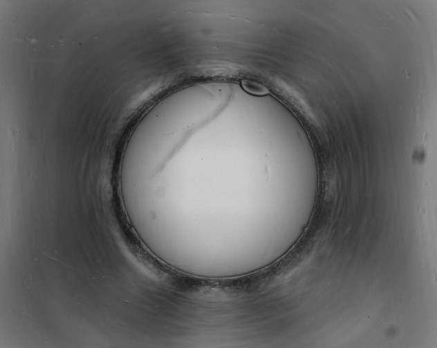 X0000101690538200807241411