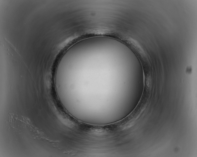 X0000101690540200807241411