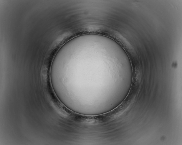 X0000101690542200807241411