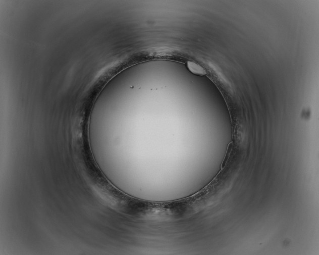 X0000101690543200807241411