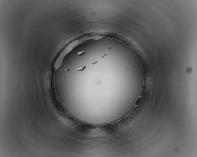 X0000101690544200807241411