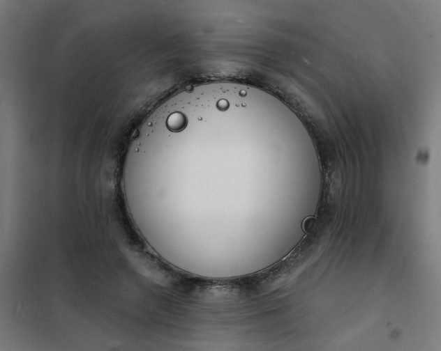 X0000101690546200807241411