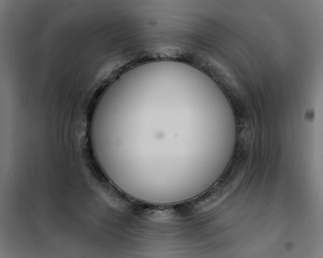 X0000101690548200807241411