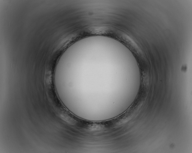 X0000101690549200807241411