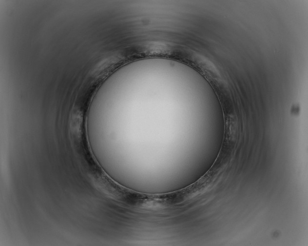 X0000101690550200807241411