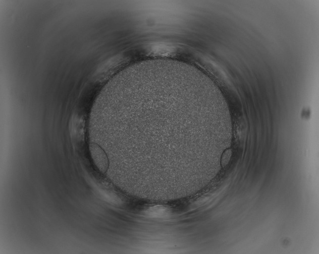 X0000101690551200807241411