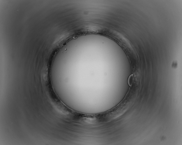 X0000101690552200807241411