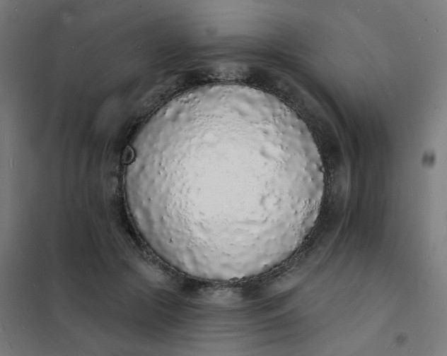 X0000101690553200807241411