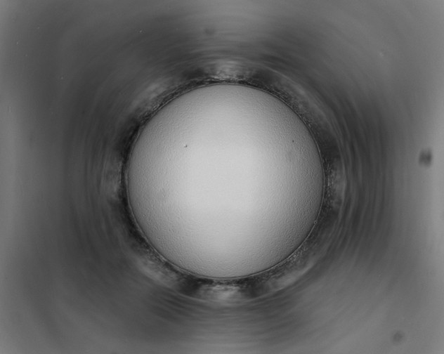 X0000101690554200807241411