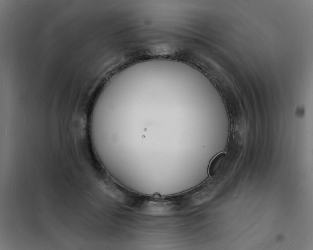 X0000101690556200807241411