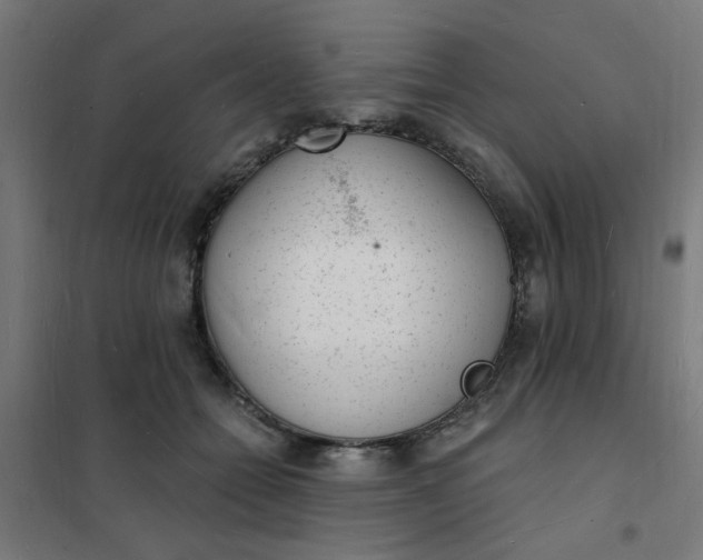 X0000101690558200807241411