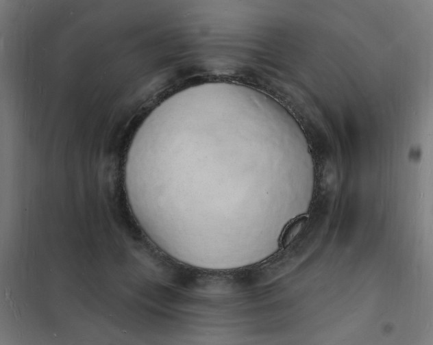 X0000101690559200807241411