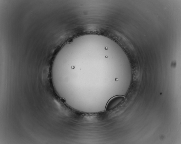 X0000101690560200807241411