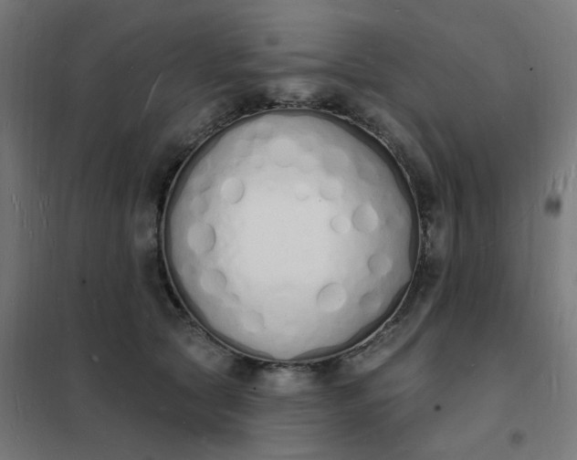 X0000101690561200807241411