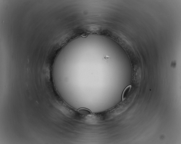 X0000101690562200807241411