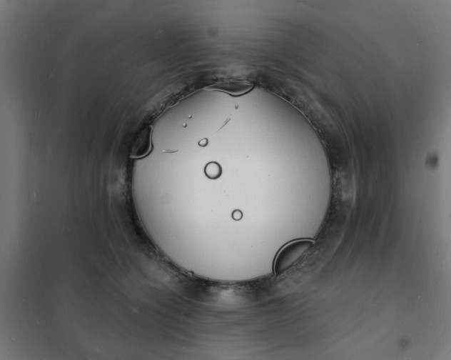 X0000101690564200807241411