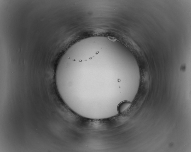 X0000101690565200807241411