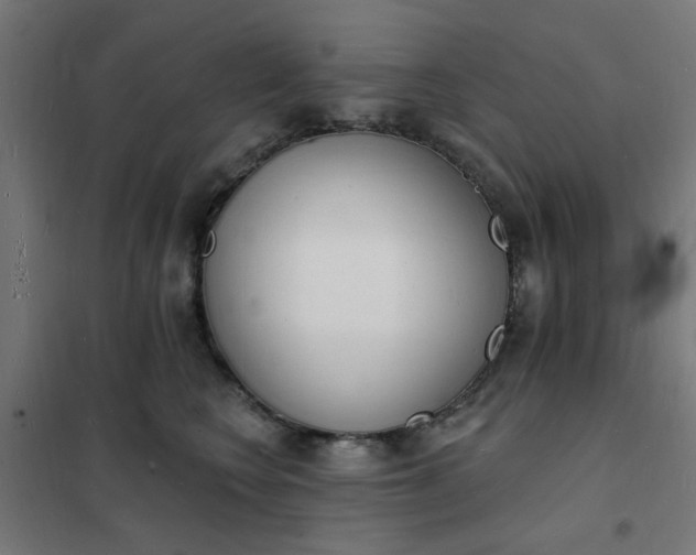 X0000101690566200807241411