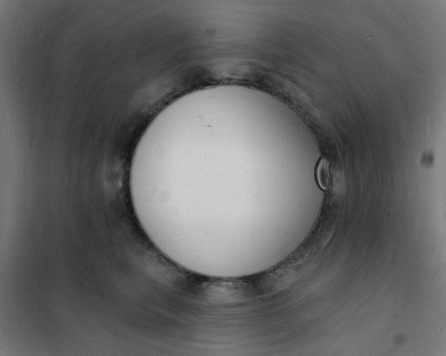 X0000101690567200807241411