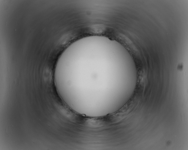 X0000101690568200807241411