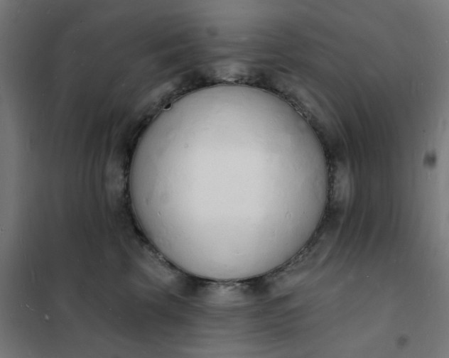 X0000101690569200807241411