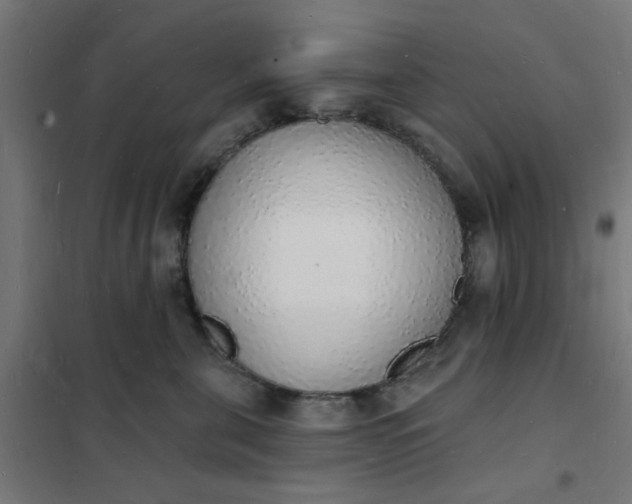 X0000101690571200807241412