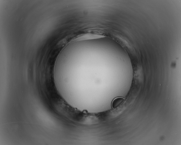 X0000101690572200807241412