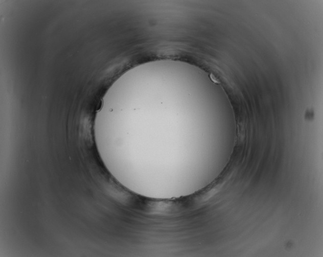 X0000101690575200807241412