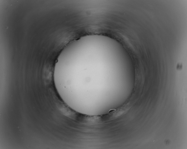 X0000101690576200807241412