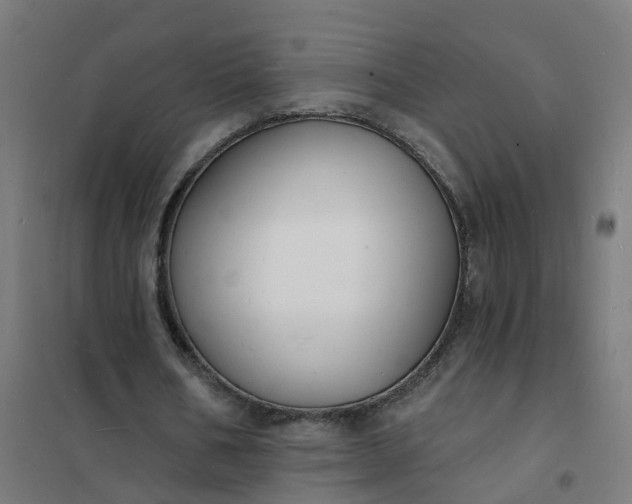 X0000101690578200807241411