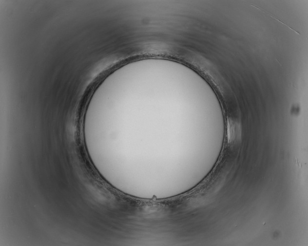 X0000101690579200807241411