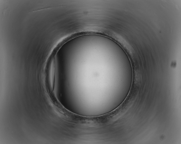 X0000101690580200807241411