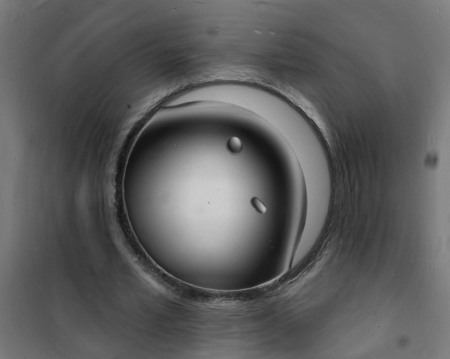 X0000101690581200807241411