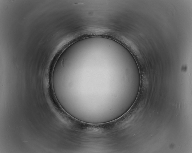 X0000101690582200807241411