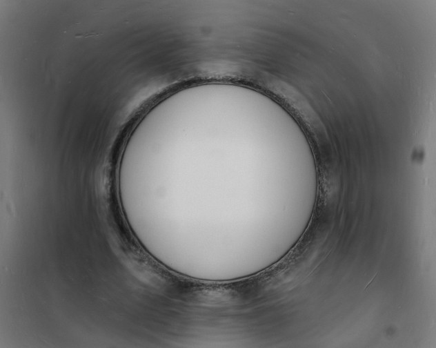 X0000101690583200807241411