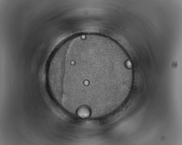 X0000101690584200807241411