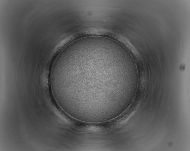 X0000101690585200807241411