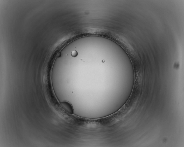 X0000101690587200807241411