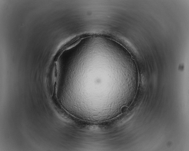 X0000101690588200807241411