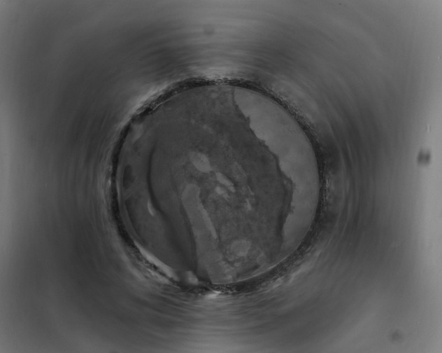 X0000101690592200807241411