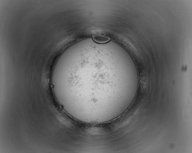 X0000101690593200807241411