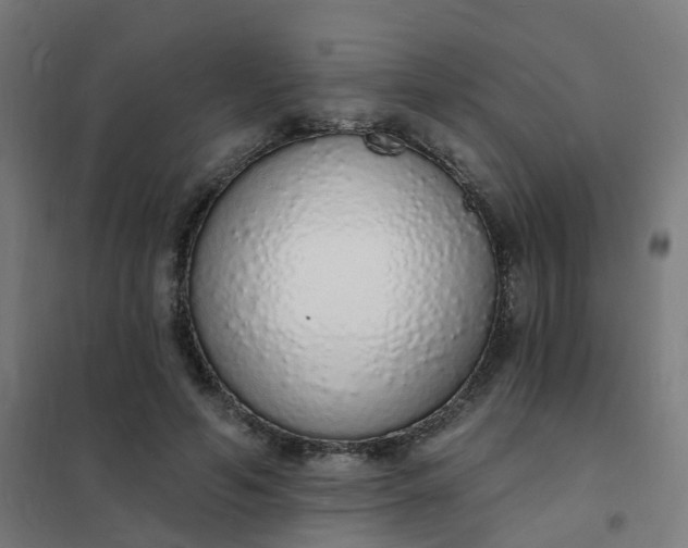 X0000101690594200807241411